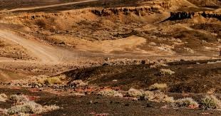 棒球与财富管理：大联盟球员的延迟支付避税